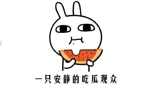 吃瓜网